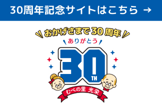 30周年記念サイト